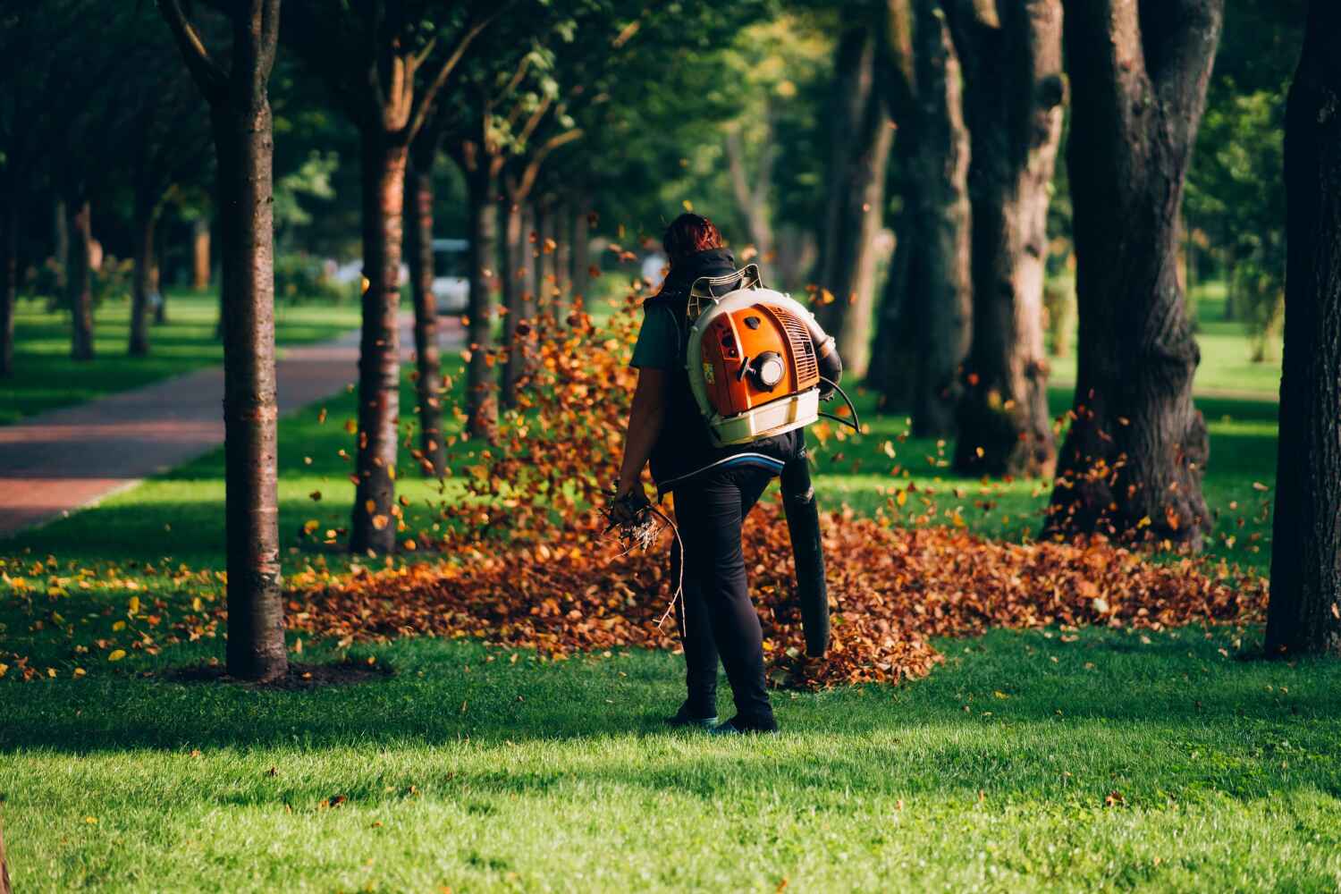 Best Tree Care Services  in Harrison, TN